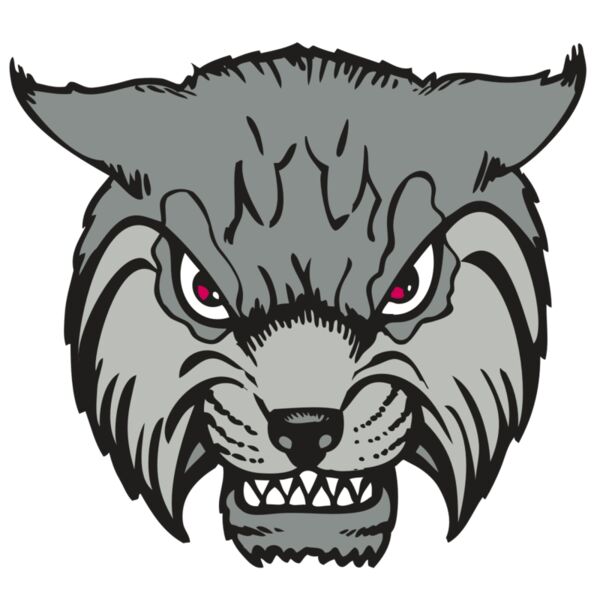 BAW BOBCAT 02 RC Miniaturansicht