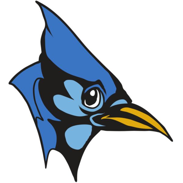 AR31 BLUEJAY 03 RQC Miniaturansicht