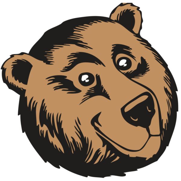 BAW BEAR 11 RC Miniaturansicht