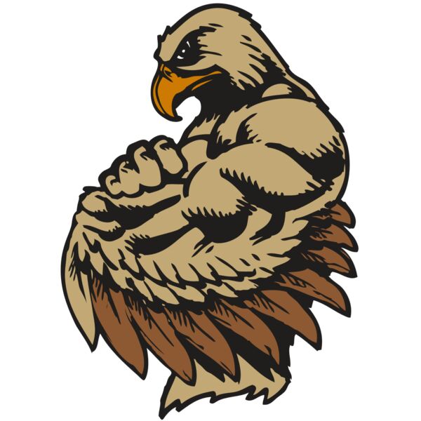 BAW HWK FLCN 02 RC Miniaturansicht