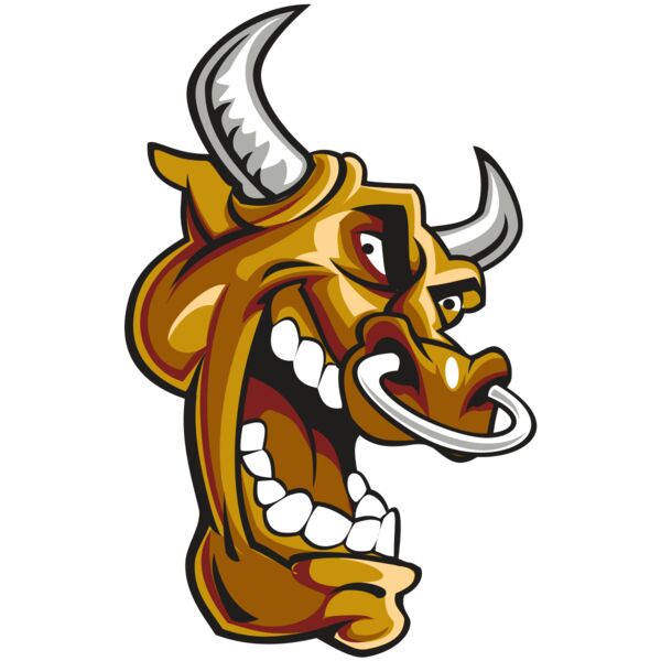 BULL HD0504 RQC Miniaturansicht