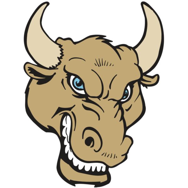 AR5 BULL 13 RQC Miniaturansicht