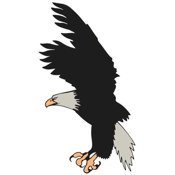 AR EAGLE 91 RC Miniaturansicht