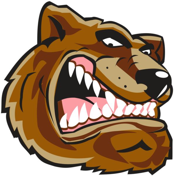 BEAR HD0502 RQC Miniaturansicht