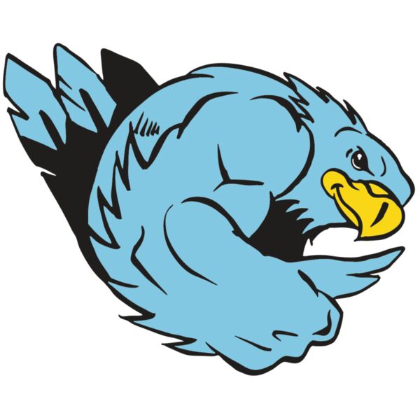 AR HAWK 24 RC Miniaturansicht