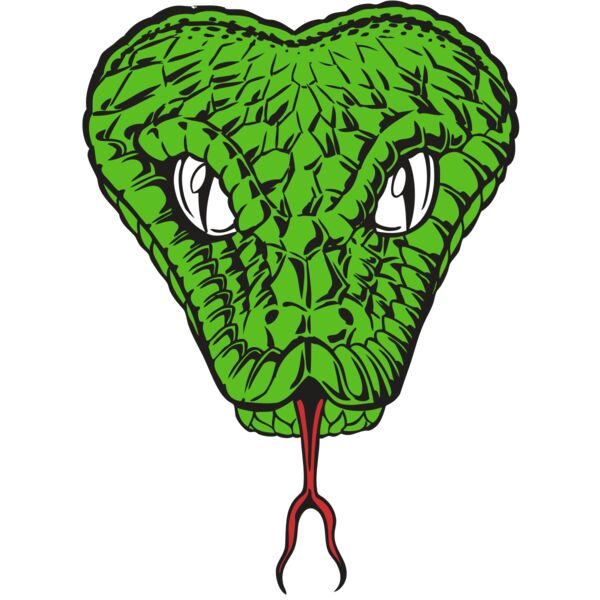 BAW SNAKE 08 RC Miniaturansicht