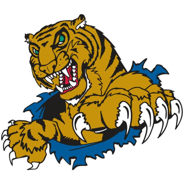 AR TIGER 69 RC Miniaturansicht