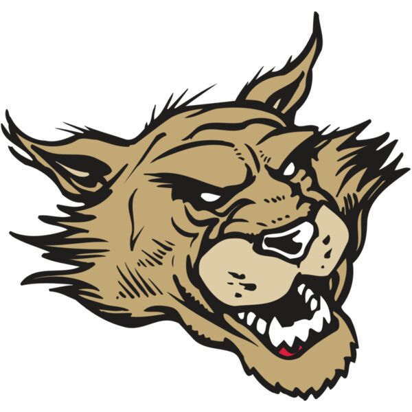 AR WILDCAT 39 RC Miniaturansicht