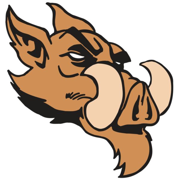 AR5 Razorback 16 RQC Miniaturansicht