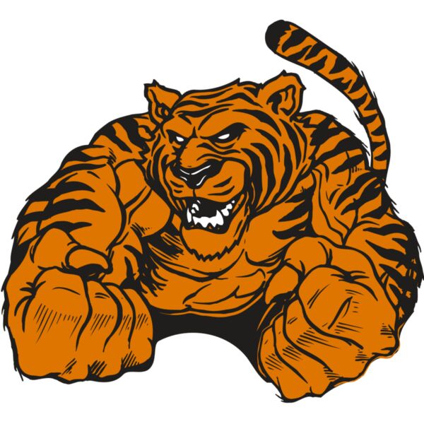 AR TIGER 55 RC Miniaturansicht