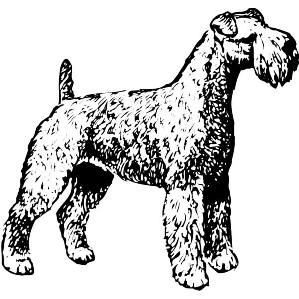 DC0009 Miniaturansicht