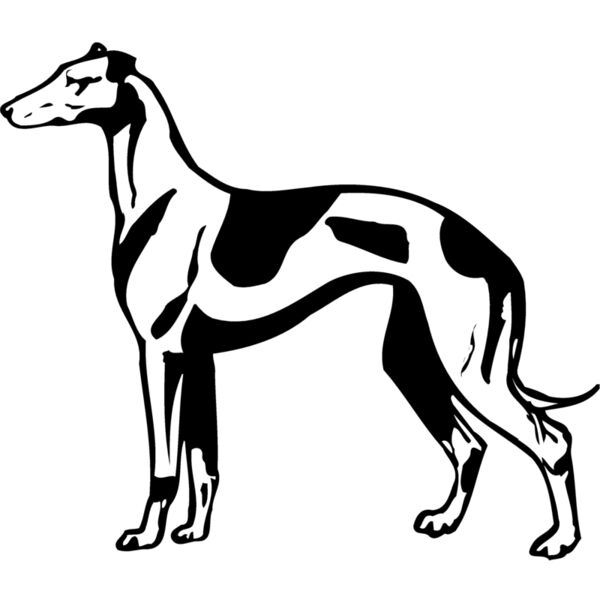 DC0013 Miniaturansicht