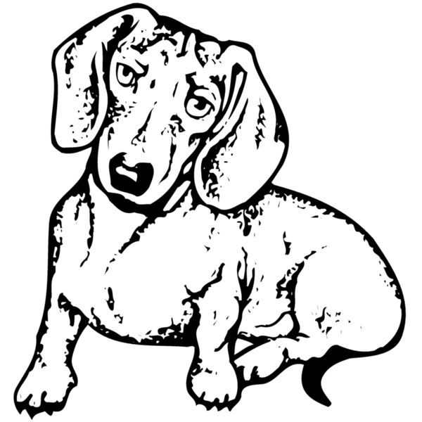 DC0014 Miniaturansicht