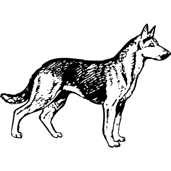 DC0019 Miniaturansicht