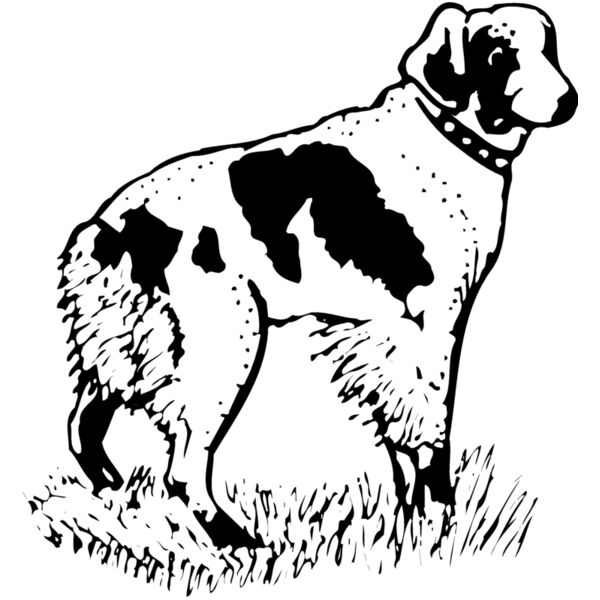 DC0026 Miniaturansicht