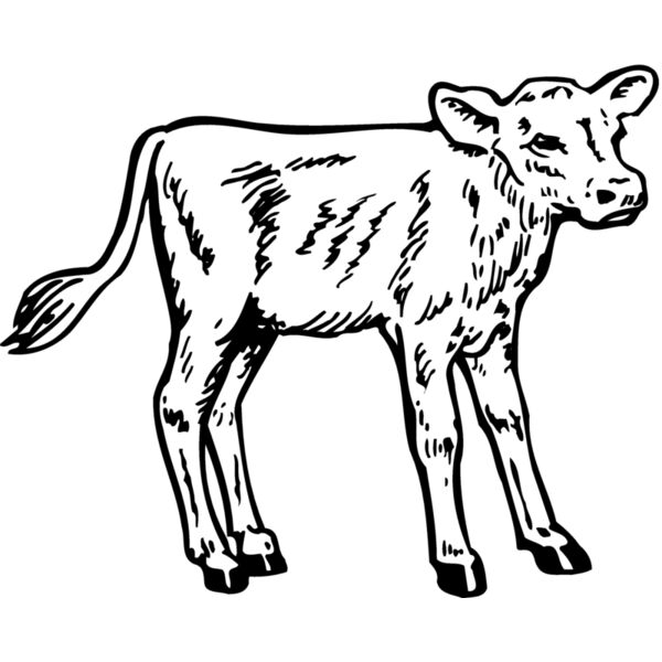 COW028 Miniaturansicht