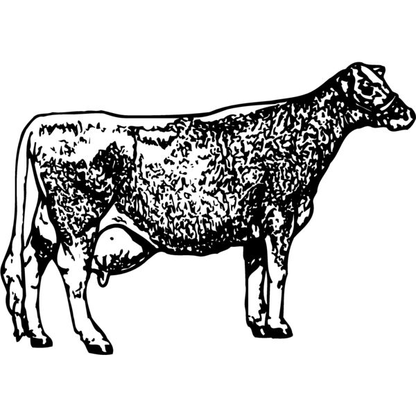 COW034 Miniaturansicht
