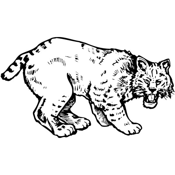 BOBCAT03 Miniaturansicht