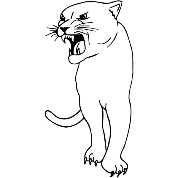 CAT18 Miniaturansicht