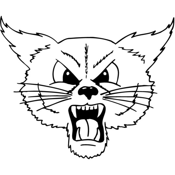 CAT20 Miniaturansicht