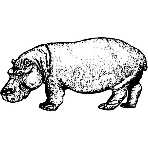 HIPPO002 Miniaturansicht