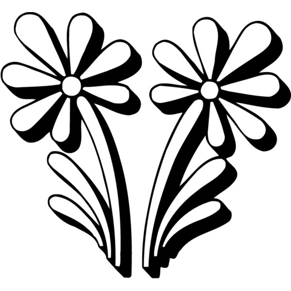 BRDR049 Miniaturansicht