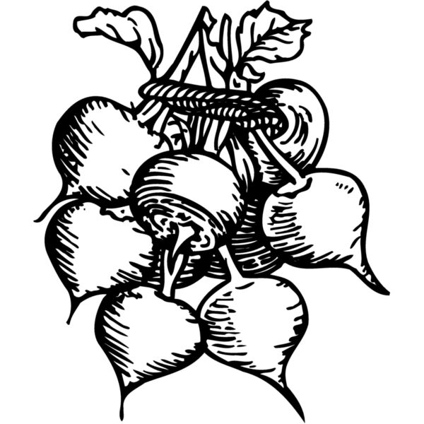 VEG001 Miniaturansicht