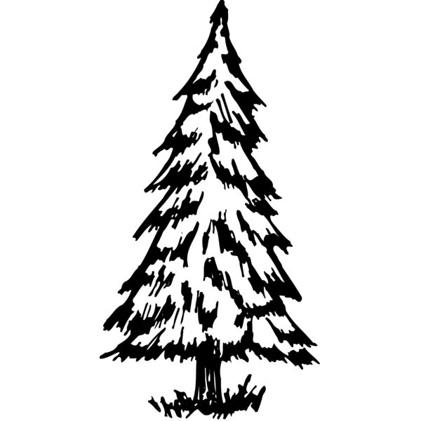 TREE0011 Miniaturansicht