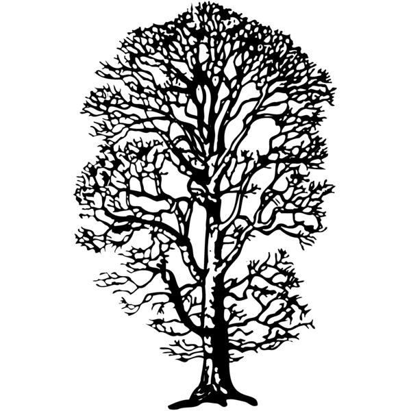 TREE0021 Miniaturansicht