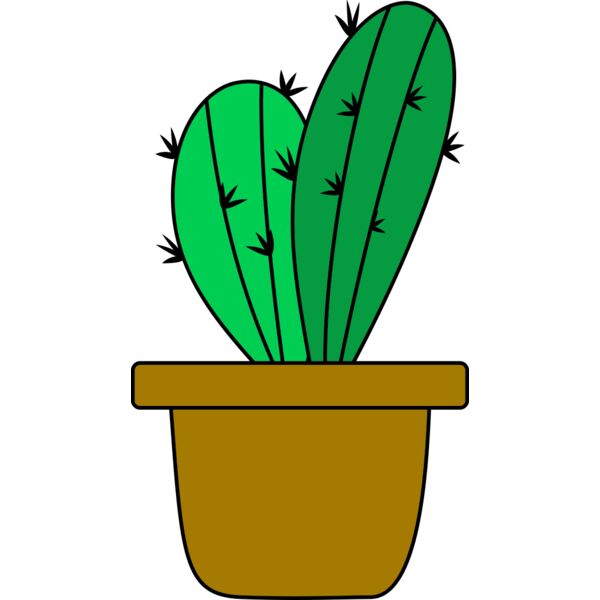 Cactus 4 Miniaturansicht