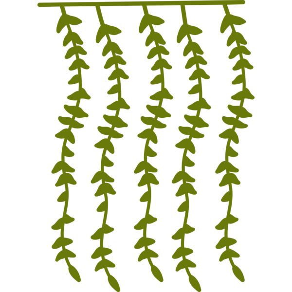 Hanging Plants 2 Miniaturansicht