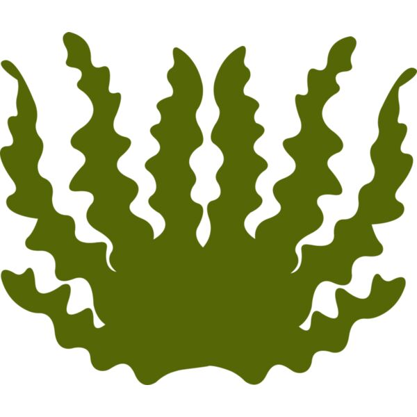 Sea Plant 2 Miniaturansicht