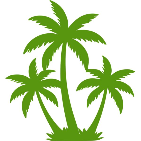 Coconut Tree Miniaturansicht