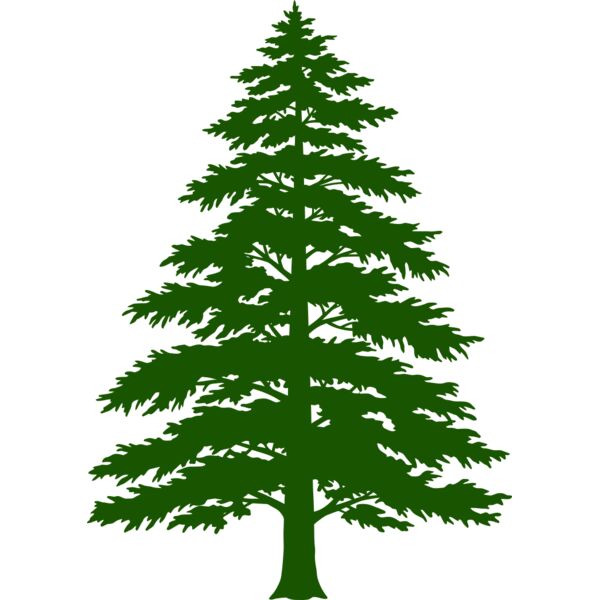 Tree Plant 3 Miniaturansicht