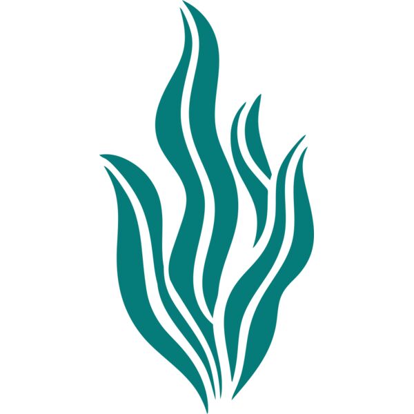 Sea Plants 6 Miniaturansicht